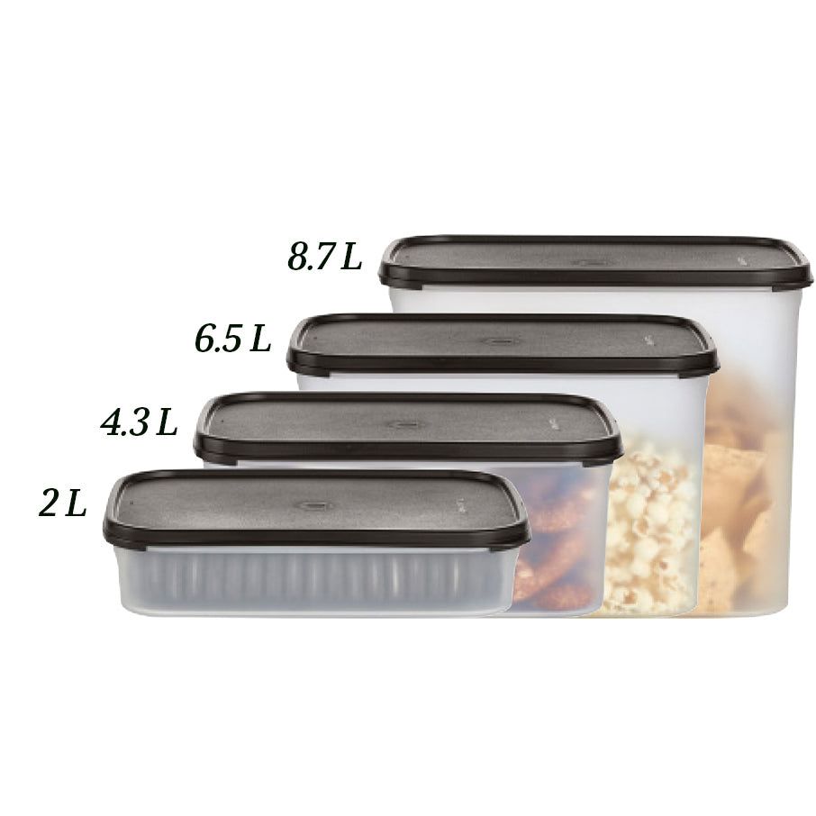 Tupperware Modular Mates Rectangular 2 Dry Storage | UFNXJ4786